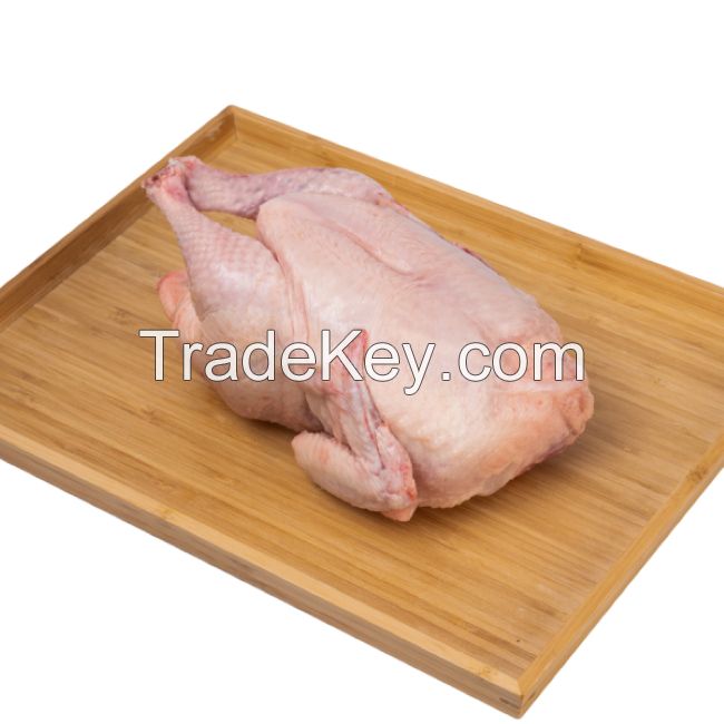 Frozen Whole Chicken Frozen Chicken for Sale Brazil Halal Whole Chicken Clean for Sale
