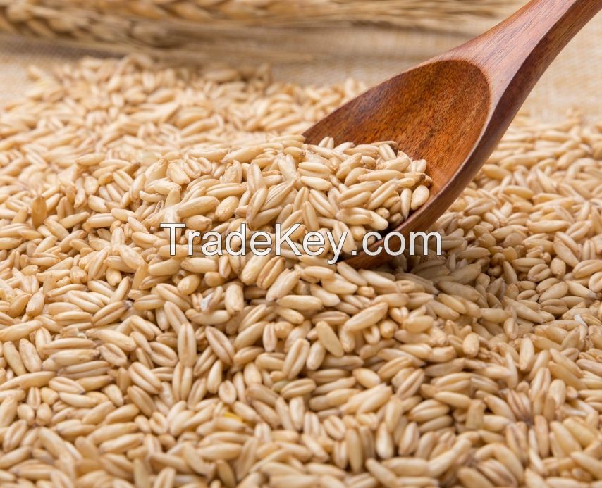 Hulled Groats Grain Oats