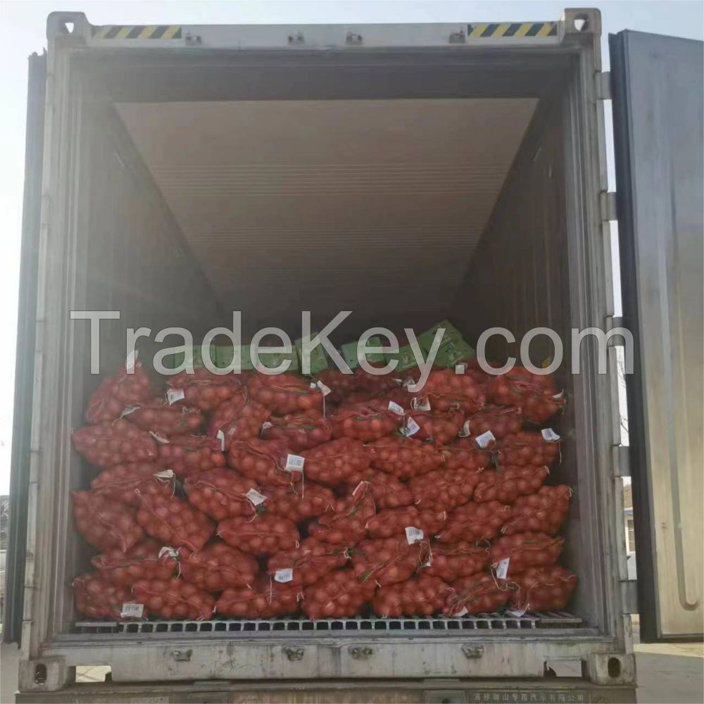 50x80cm Onion Fresh Onion Yellow Red Onion 35 Kg Mesh Bags