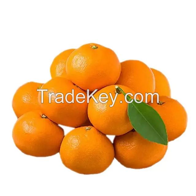 Fresh Orange Bulk Buy Orange Price Tangerine Mandarin Orange for Sale