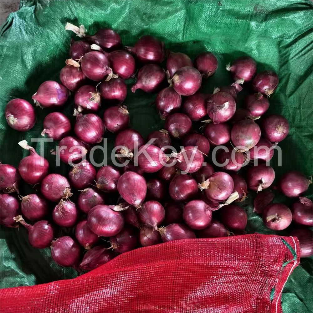 2024 New Crop Fresh Red Onions And Yellow Onion White Price Per Ton In China From Onion Seeds Exporter