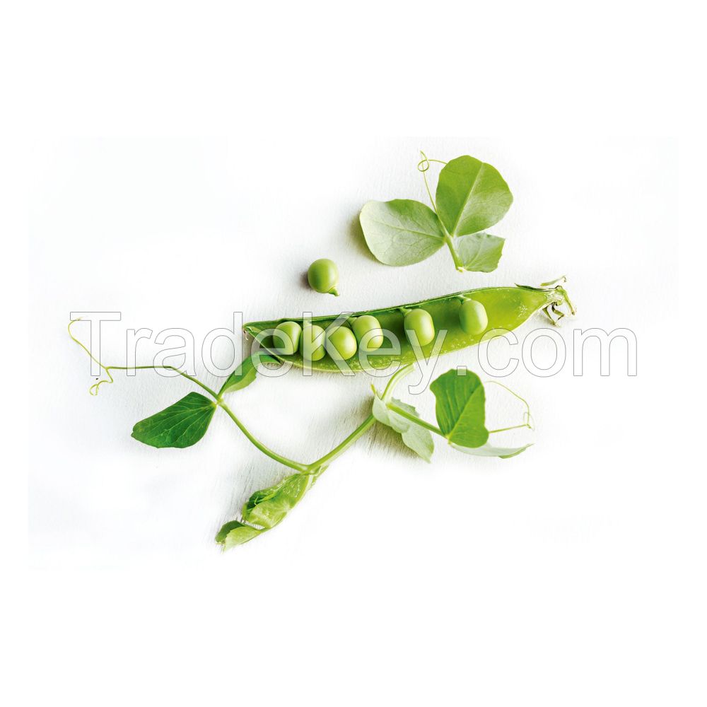 Best Fresh Green Peas for Sales ORDER DRIED GREEN PEAS / GREEN SPLIT PEAS / GREEN PEAS at CHEAP PRICE