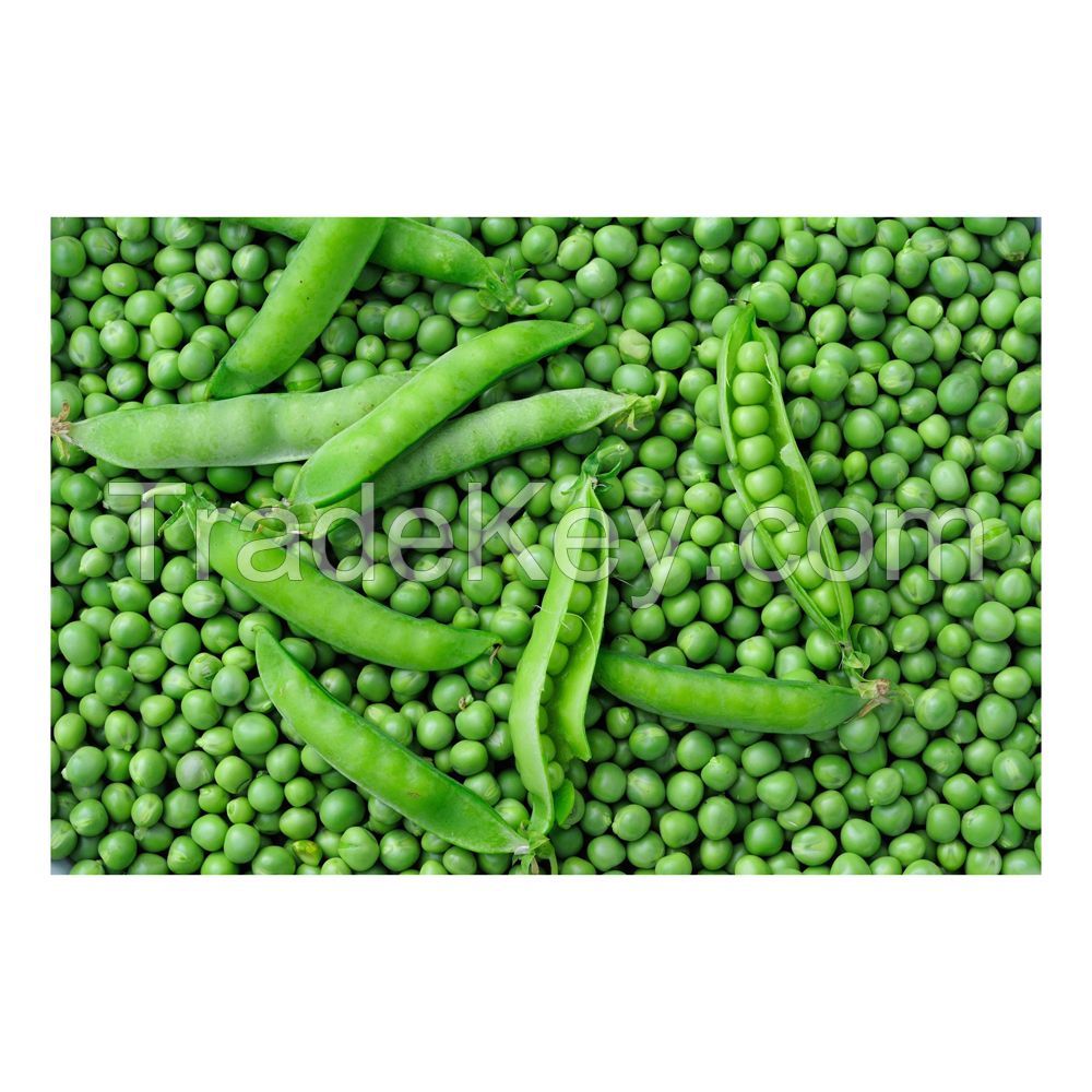 Best Fresh Green Peas for Sales ORDER DRIED GREEN PEAS / GREEN SPLIT PEAS / GREEN PEAS at CHEAP PRICE