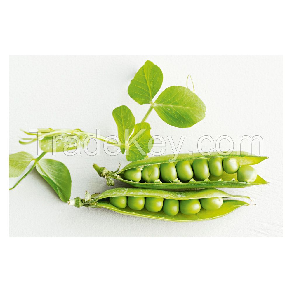 Best Fresh Green Peas for Sales ORDER DRIED GREEN PEAS / GREEN SPLIT PEAS / GREEN PEAS at CHEAP PRICE