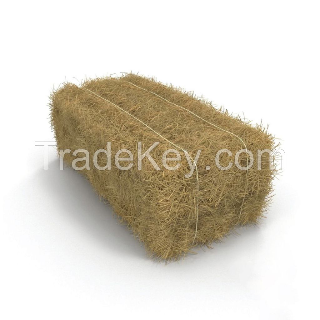 Export Quality (Wheat Straw) hay Bales Best Wheat hay Bales Alfalfa Animal Feed