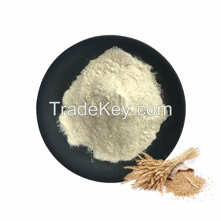Wholesale Raw Material Vital Wheat Gluten for Seitan