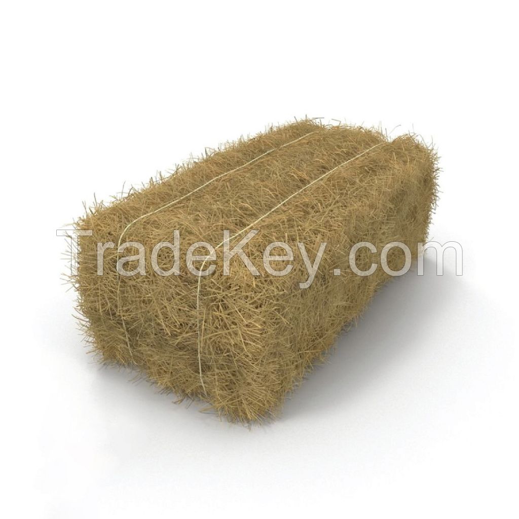 Export Quality (Wheat Straw) hay Bales Best Wheat hay Bales Alfalfa Animal Feed