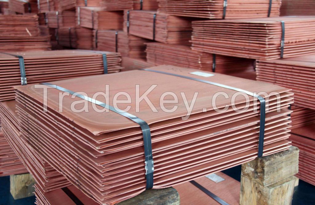 Hot Sales Cheap Price 99.99% Pure Copper Cathode C12000 C11000 Customized Copper Plate Sheet
