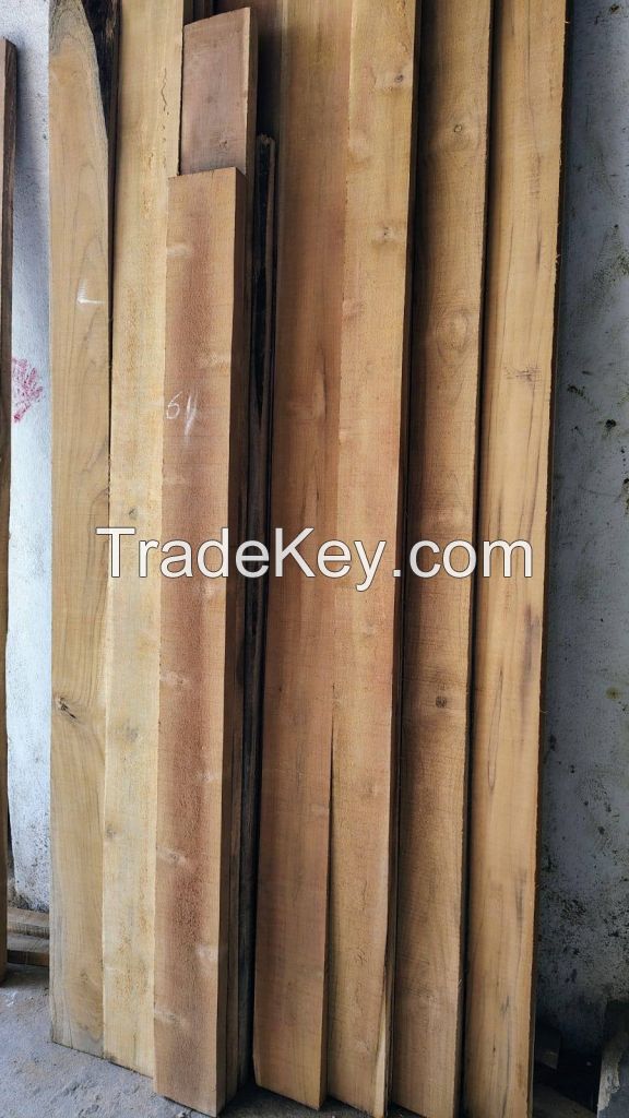 High Quality Teak Timber Logs Teak Timber Timber Logs Wood