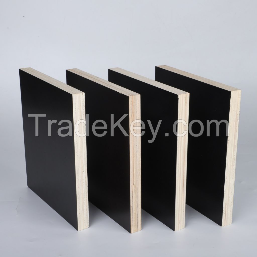 4x8 3mm 4mm 5mm 6mm 12mm 15mm 18mm 25mm Commercial Plywood Russian Birch Plywood with Thickness