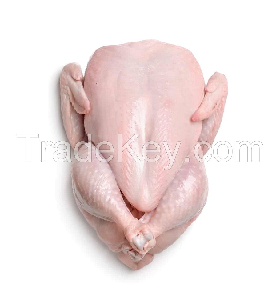 High Quality Frozen Whole Chicken Frozen Chicken for Sale Brazil Halal Whole Chicken Clean for Sale
