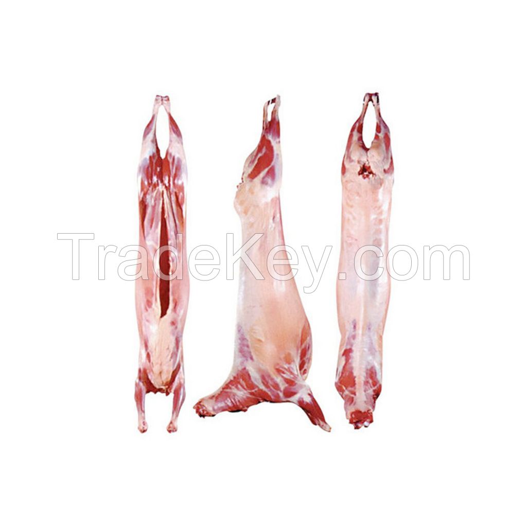 HALAL FRESH FROZEN GOAT/ MUTTON MEAT/ LAMB MEAT