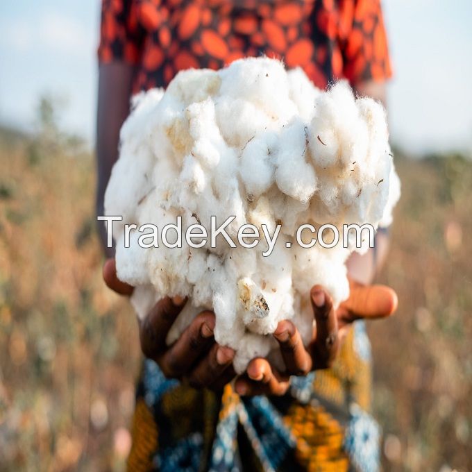 Wholesale Organic Raw Cotton Bales Ready for International Market
