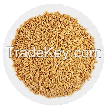 Best Quality Organic Whole Wheat Grain for Sale in Cheap Price Wholesale Organic Whole Wheat Grain