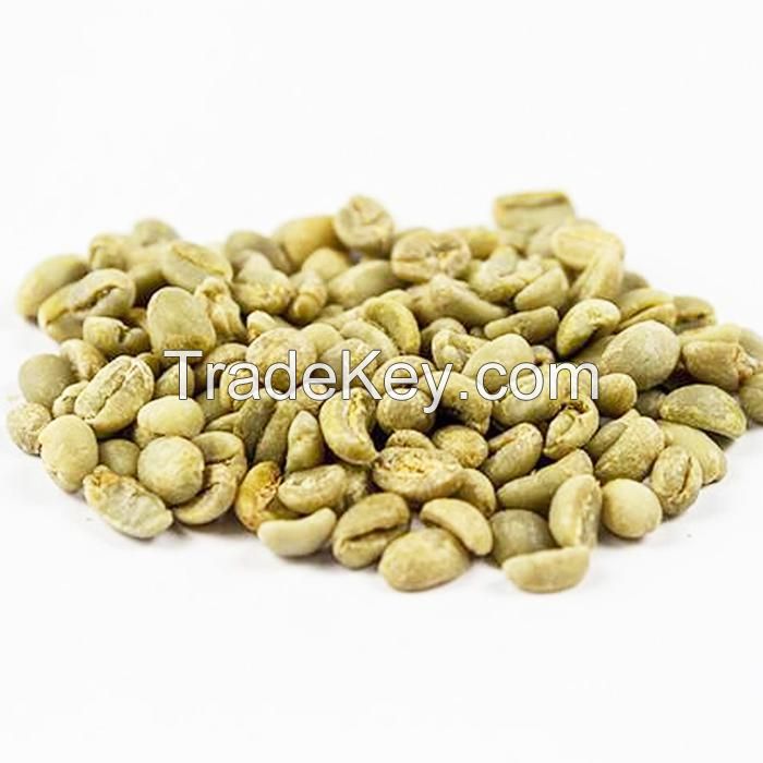 Top Selling Vietnam Green Coffee Beans Robusta Arabica Raw Coffee Beans Competitive Price for Import Ready to Ship