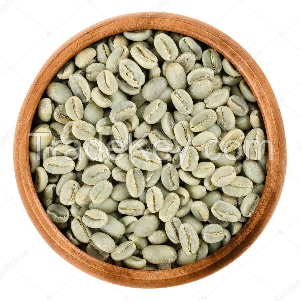 Top Selling Vietnam Green Coffee Beans Robusta Arabica Raw Coffee Beans Competitive Price for Import Ready to Ship