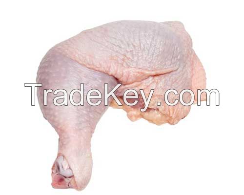 Halal Frozen Chicken Thigh /Frozen Chicken Leg quarter / Chicken drum stick