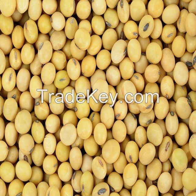 Dry soybeans