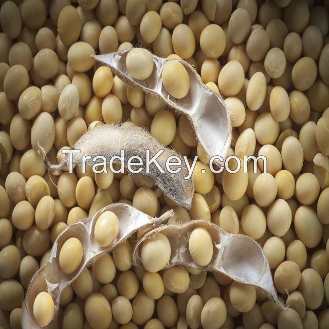 Dry soybeans