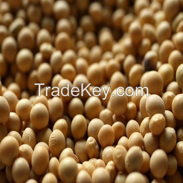 Dry soybeans