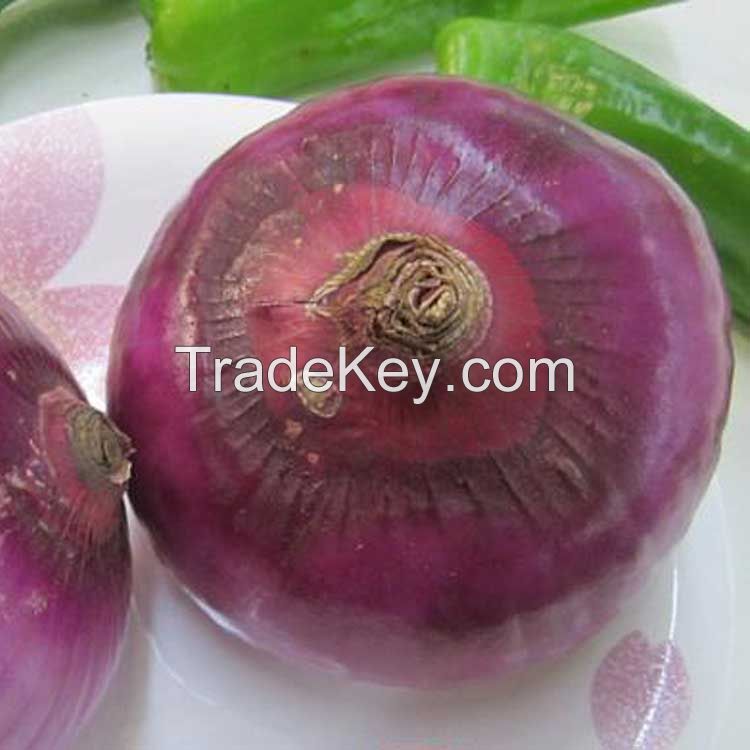 Red Onion