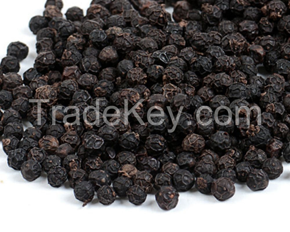 TOP Quality Natural Black Pepper whole herbs seed