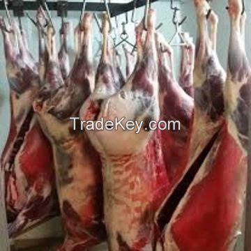 Halal Frozen Venison Carcass