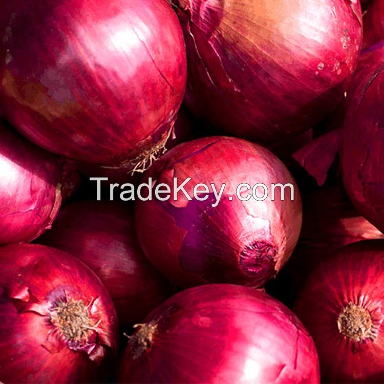 Red Onion