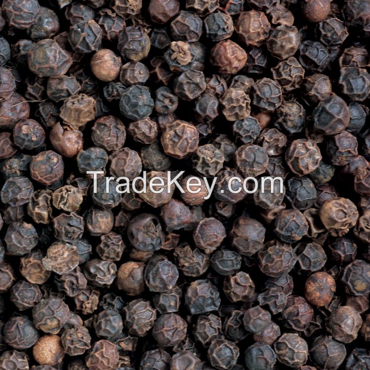 TOP Quality Natural Black Pepper whole herbs seed