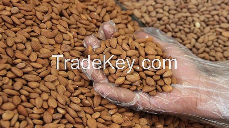 Good Quality Raw Apricot Kernels