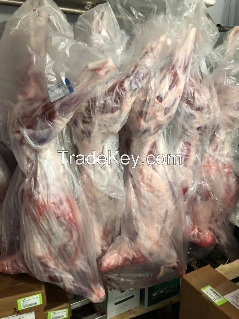 HALAL Fresh, Frozen Goat/ Mutton Meat/ Lamb Meat Carcass