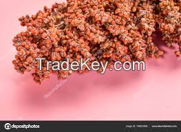 FRESH CROP YELLOW/WHITE/RED/ SORGHUM FROM WEST AFRICA