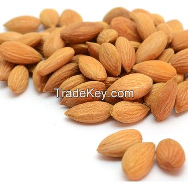 Good Quality Raw Apricot Kernels