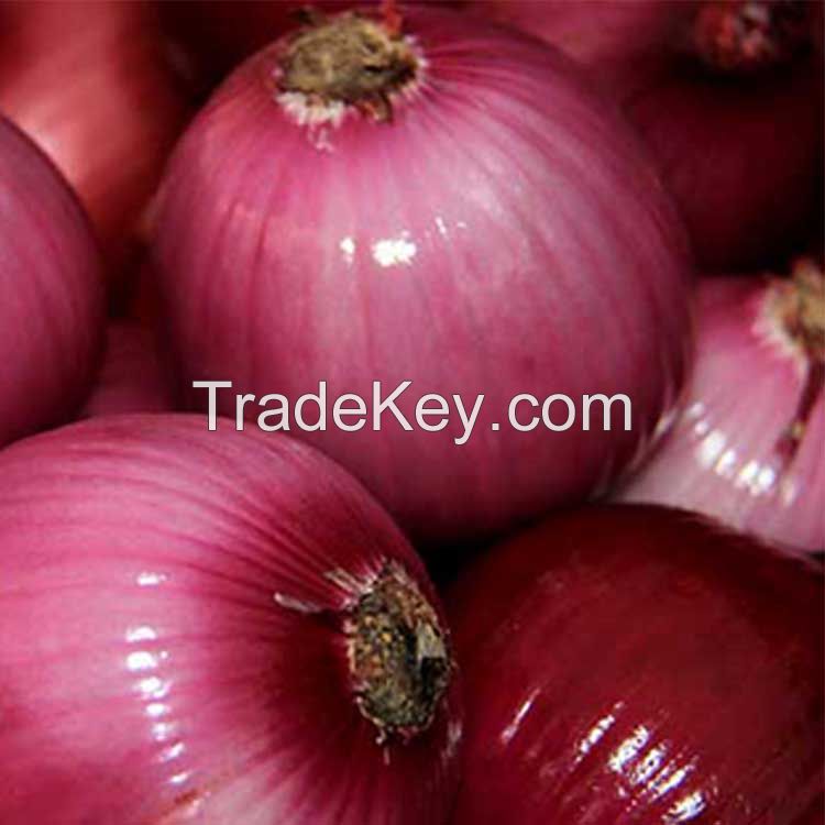 Red Onion