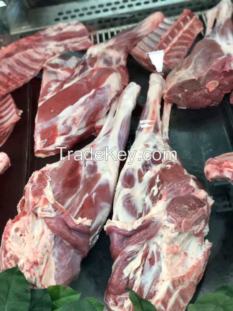 HALAL Fresh, Frozen Goat/ Mutton Meat/ Lamb Meat Carcass