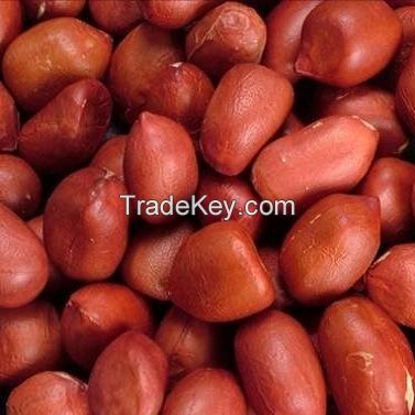  Red skin peanuts