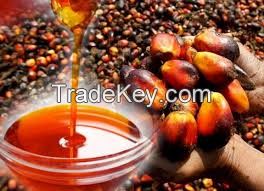Top Grade REFINED PALM OIL / PALM OIL - Olein CP10, CP8, CP6 For Cooking /Palm Kernel OIl CP10