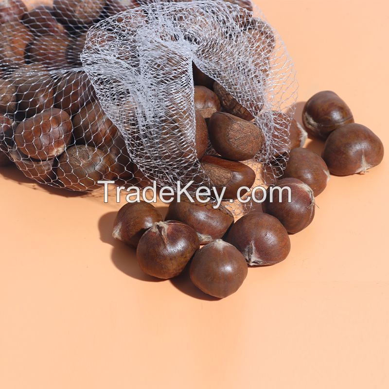 Organic Healthy Raw Fresh Chestnuts