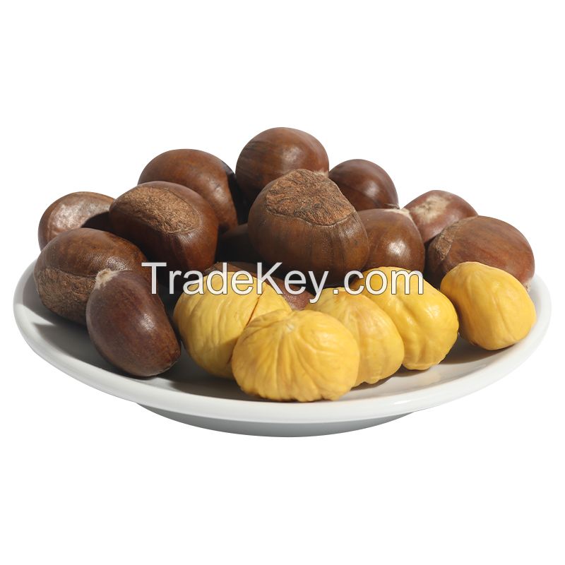 Organic Healthy Raw Fresh Chestnuts