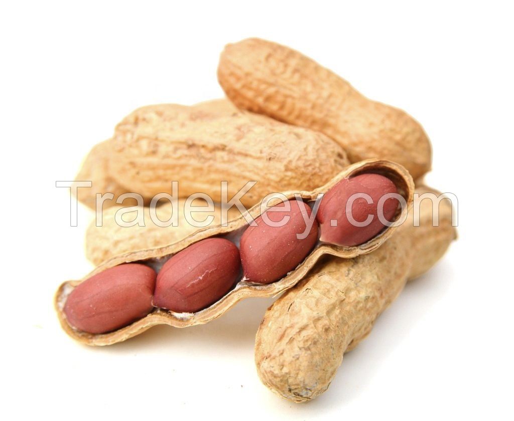 High Quality Raw Peanuts Kernel