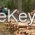 Top Oak Teak Wood Logs, Timber, Firewood and Briquettes
