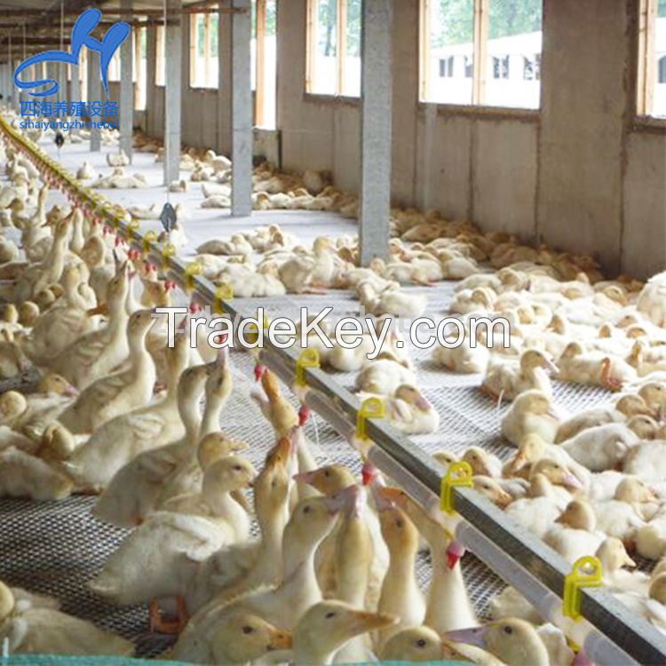 Broiler  For Sale
