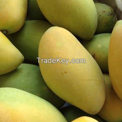 Fresh Mangos