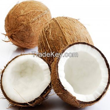 Best Quality Semi Husked Coconuts