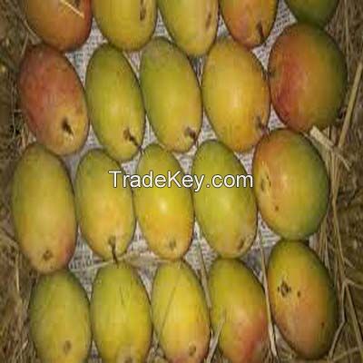 Fresh Mangos