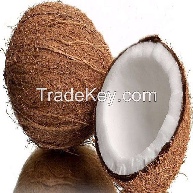 Best Quality Semi Husked Coconuts