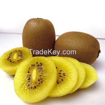 Fresh Yellow Kiwi fruit Pulp Organic