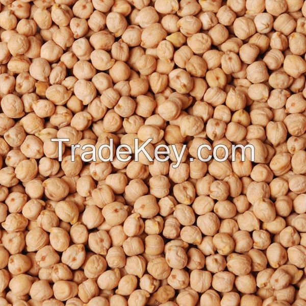 High quality soybean 25/50 kg bags or in bulk, from manufacturer