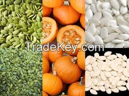 Organic Pumpkin Seeds Kernel Top Grade