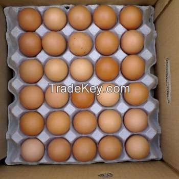 Chicken Origin and Egg Product Type broiler chicken eggs for sale at great rates